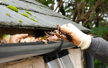 gutter cleaning South Kingennie, Angus