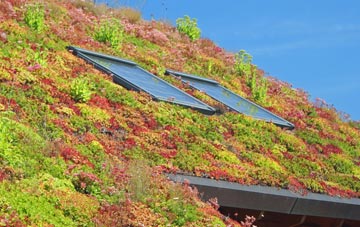 South Kingennie living roof systems